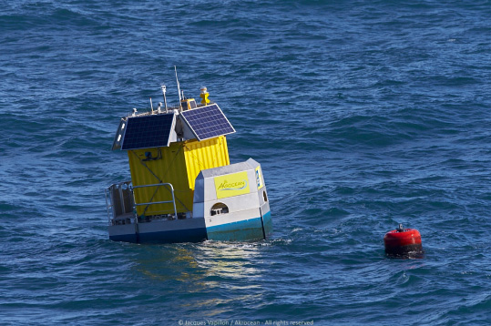 floating buoy on the sea