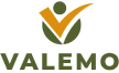 Logo Valemo