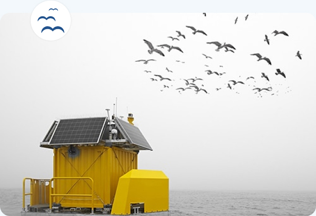 Buoy in the sea with birds with an icon with birds above the photo