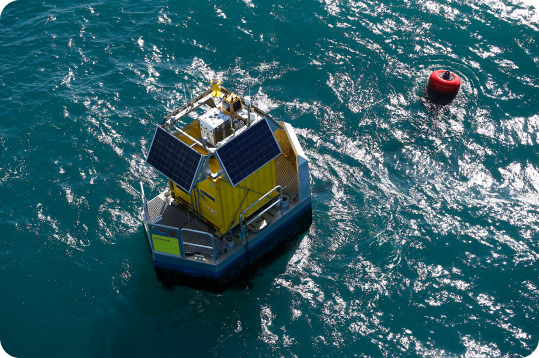 Buoy in the sea