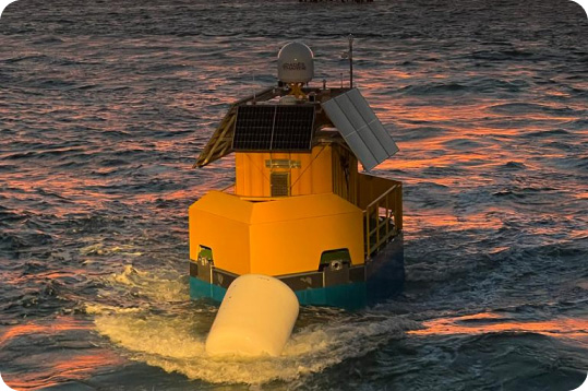 Buoy in the sea
